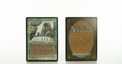 Sylvan Library Lengends mtg proxy magic the gathering tournament proxies GP FNM available
