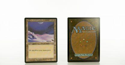 Snow-Covered plains Ice Age mtg proxy magic the gathering tournament proxies GP FNM available