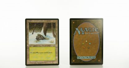 Snow-Covered forest Ice Age mtg proxy magic the gathering tournament proxies GP FNM available