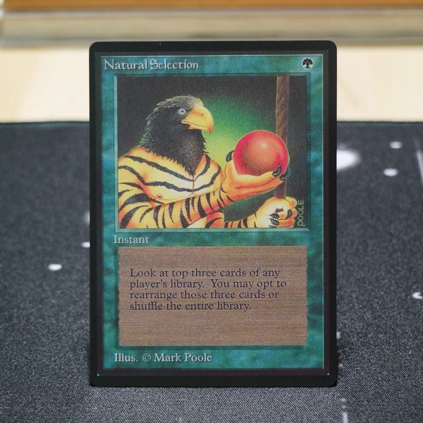 Natural Selection B Limited Edition Beta (LEB) mtg proxy for GP FNM magic the gathering tournament proxies